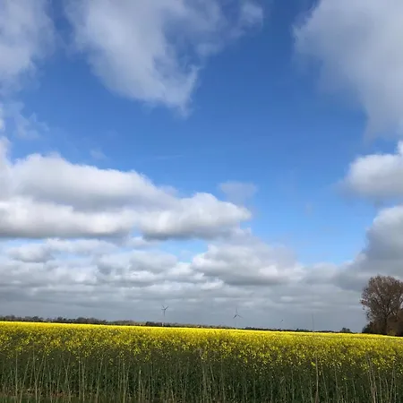 Apartment Tief 10 Seerose 203 *