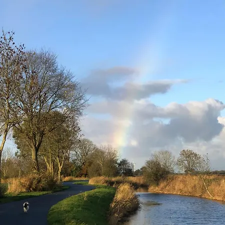 Tief 10 Seerose 203 * Schillig