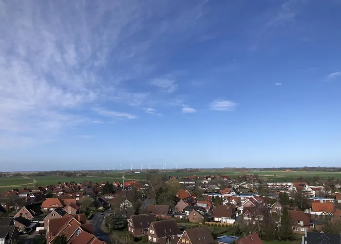 Tief 10 Seerose 203 Daire Schillig