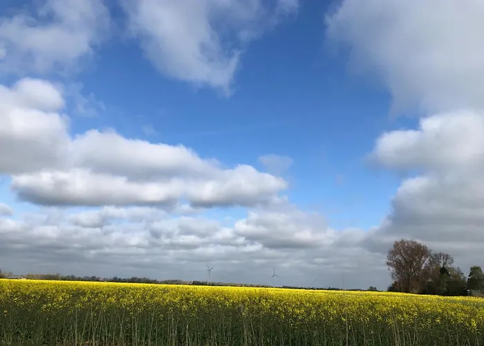 Daire Tief 10 Seerose 203 *