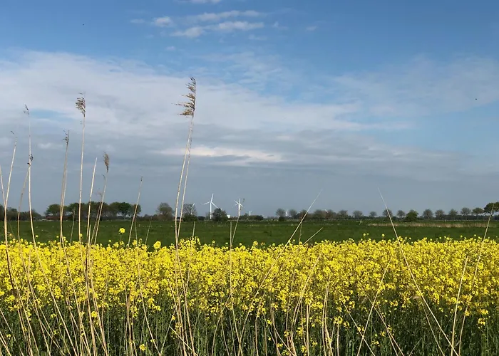 Tief 10 Seerose 203 Daire