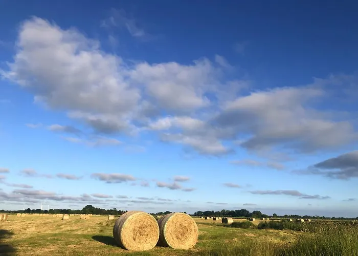 Daire Tief 10 Seerose 203 *