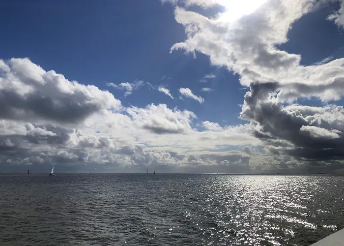 Tief 10 Seerose 203 Daire Schillig