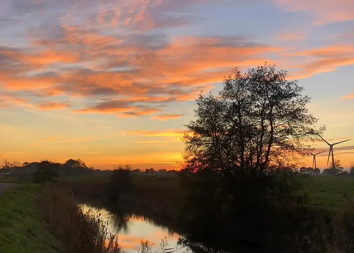 Tief 10 Seerose 203 * Schillig