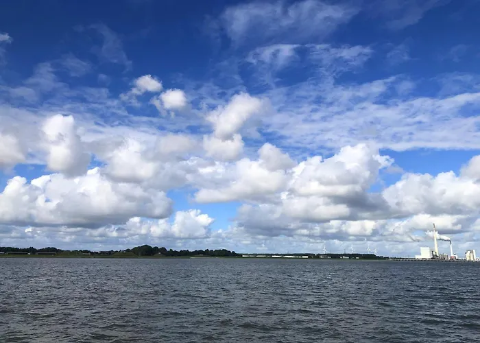 Daire Tief 10 Seerose 203 Schillig