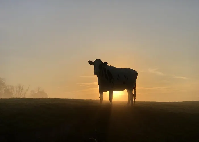 Tief 10 Seerose 203 *