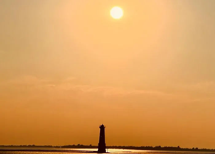 Daire Tief 10 Seerose 203 Schillig