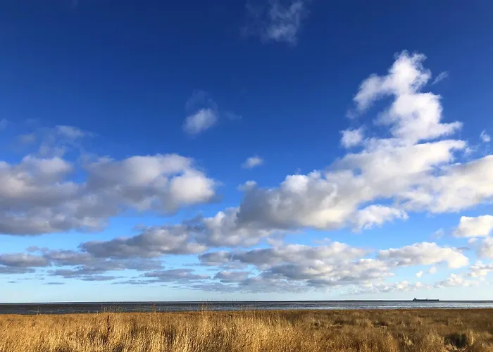 Daire Tief 10 Seerose 203 *