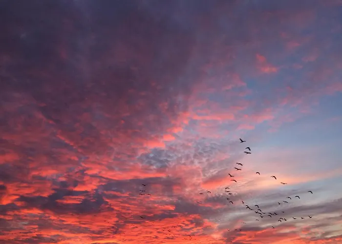 Tief 10 Seerose 203 Schillig